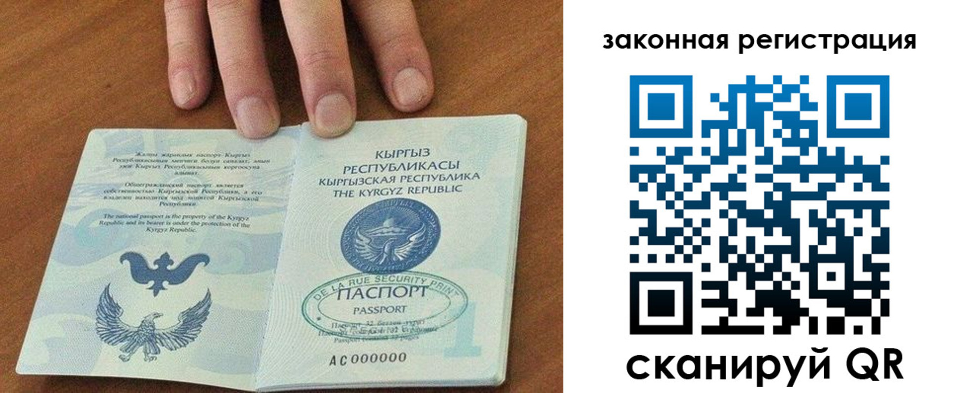 прописка гарантия в Тульской области
